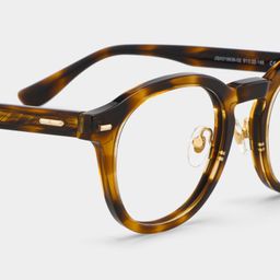 Frances Tortoise Round Glasses5