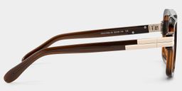 Croswell Brown Aviator Glasses4