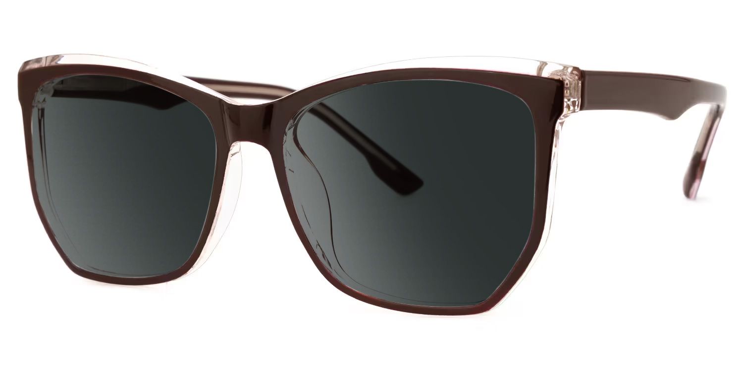 Libby Plastic Coffee Geometric Frame Sunglasses | ZEELOOL1