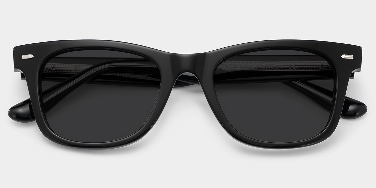 Robert Acetate Black Frame Sunglasses | ZEELOOL1