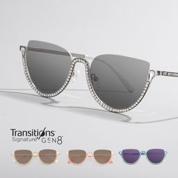 Sparkle Silver Cat eye Glasses1