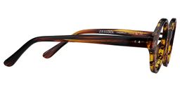 Giggs Tortoise Round Glasses4
