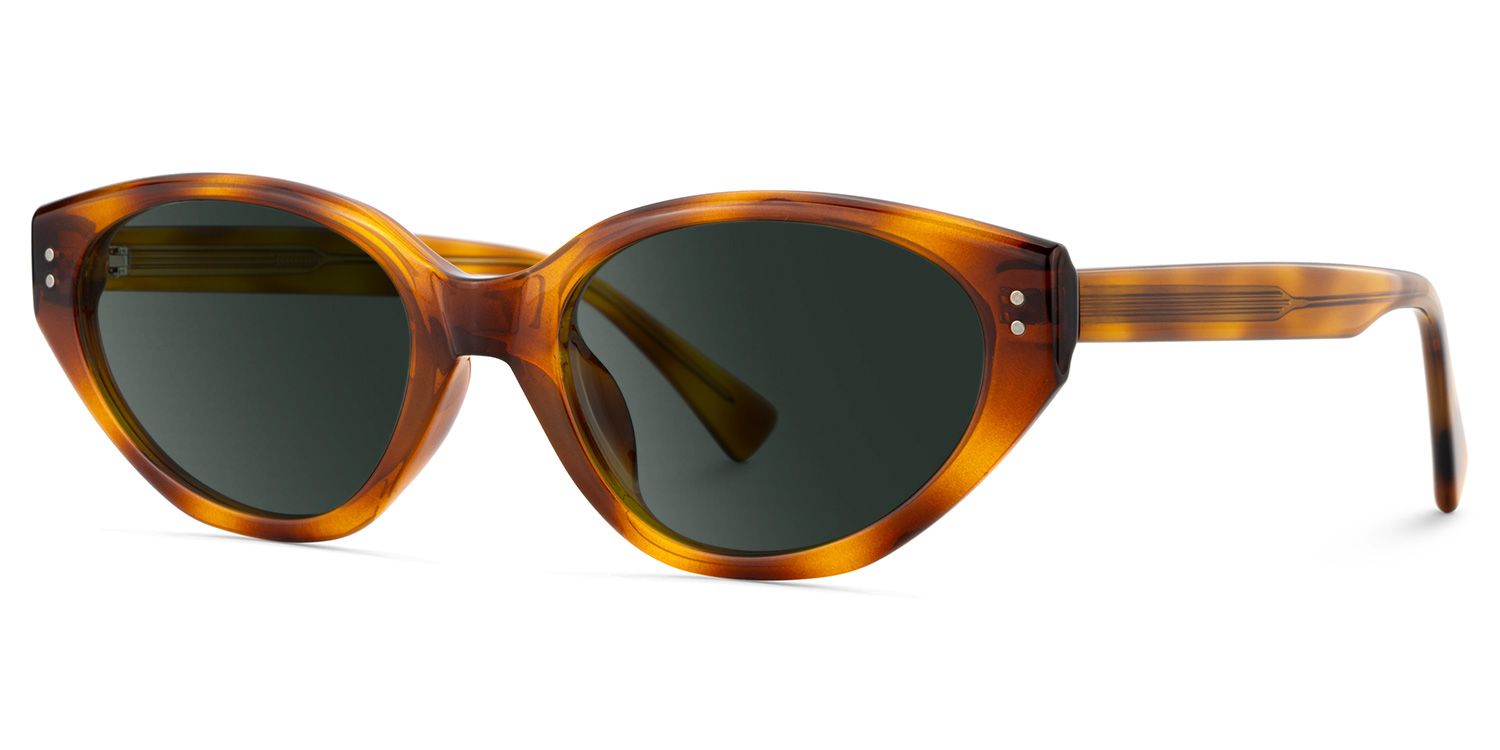 Raine Tr90 Tortoise Cat Eye Frame Sunglasses | ZEELOOL2