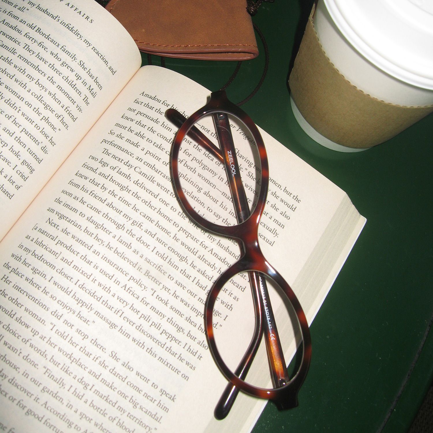Everly Oval Tortoise Eyeglasses—Acetate Frame Glasses | ZEELOOL3