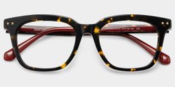 Angela Tortoise Square Glasses2