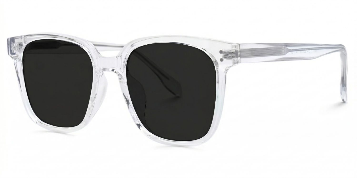 Donnalyn Tr90 Clear Frame Sunglasses | ZEELOOL1