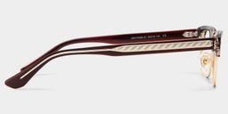 Eden Brown Browline Glasses3