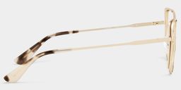 Tessa Khaki Gold Cat eye Glasses4