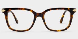 Thomas Tortoise Rectangle Glasses1