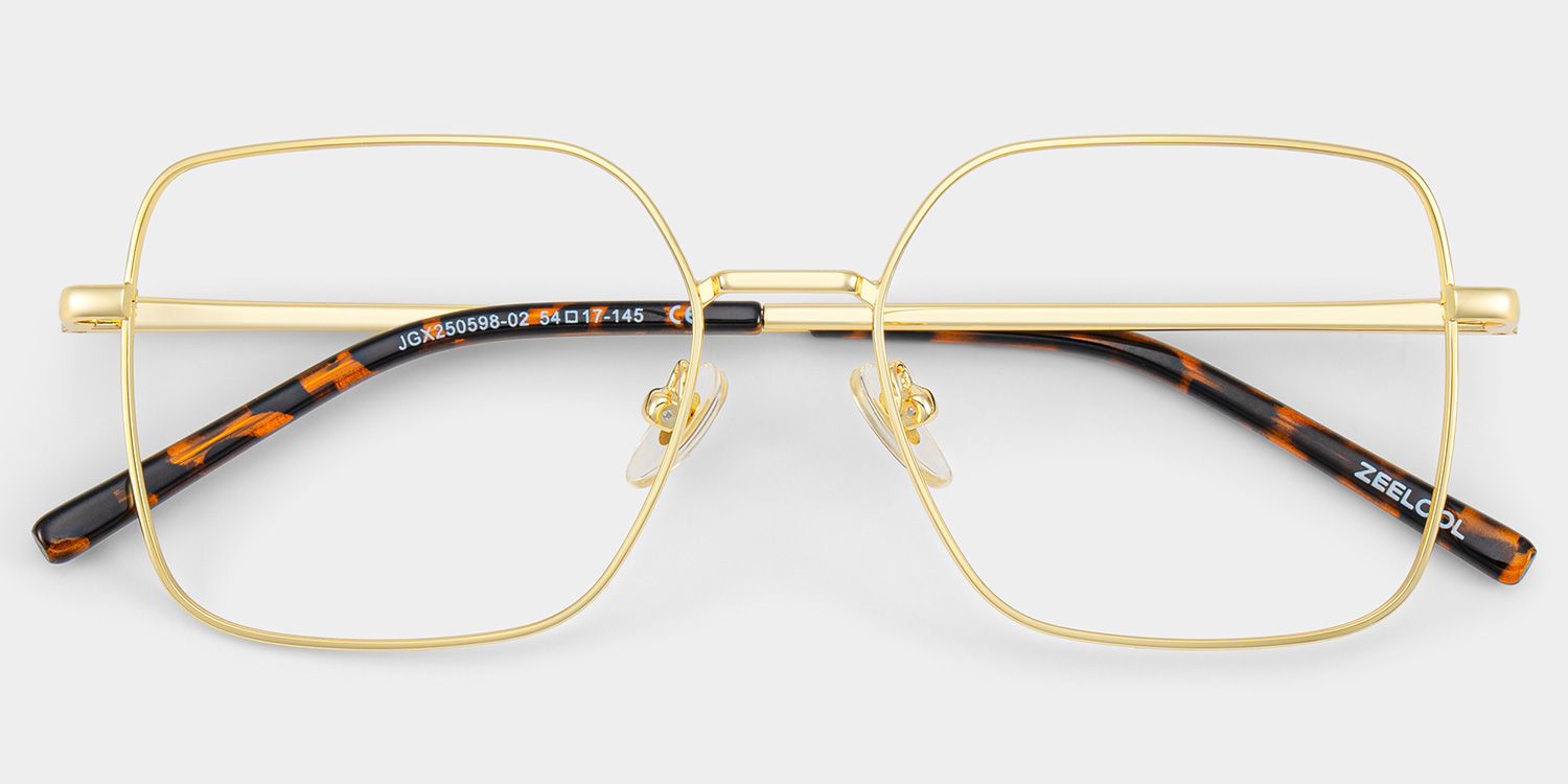 Abigail Tortoise Shell Glasses with Gold Arms for Women in Daily | ZEELOOL2