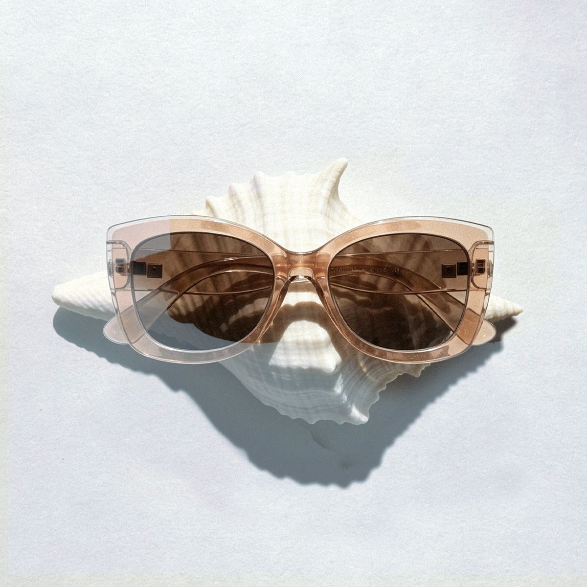 Rosie Tr90 Clear Brown Butterfly Frame Sunglasses | ZEELOOL0