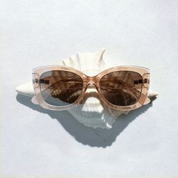 Rosie Clear Brown Butterfly Sunglasses0