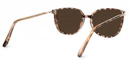 Rodz Tortoise Square Sunglasses3