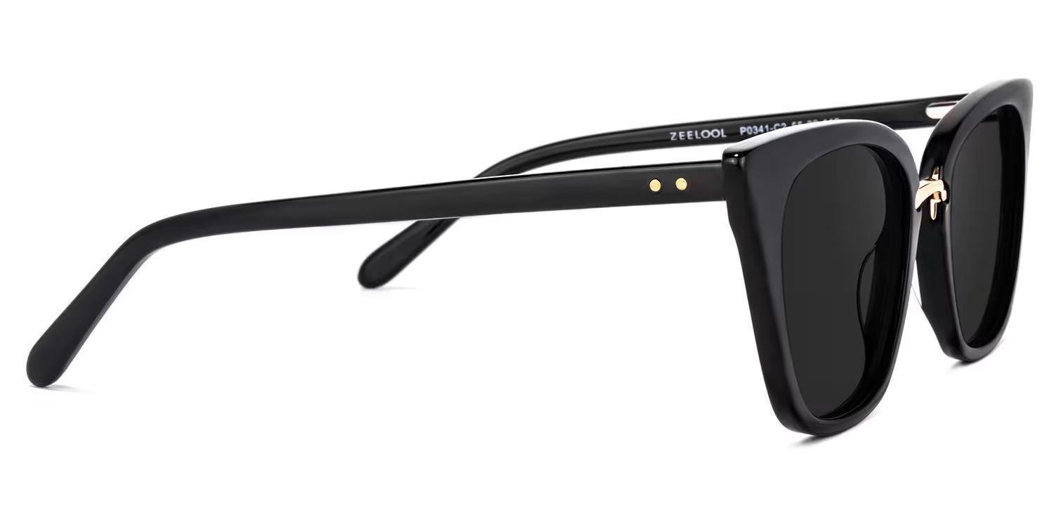 Tallulah Acetate Black Frame Sunglasses | ZEELOOL3
