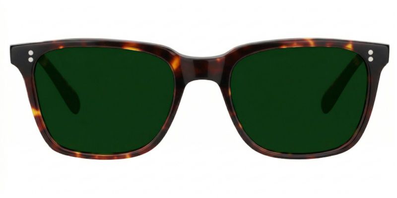 Lamont Tortoise Rectangle Polarized Sunglasses for Driving | ZEELOOL0