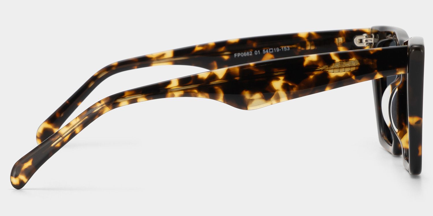 Cecile Cat Eye Tortoise Sunglasses for Women & Men | ZEELOOL3