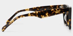 Cecile Tortoise Cat eye Sunglasses3