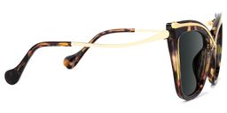 Winston Tortoise Butterfly Sunglasses3