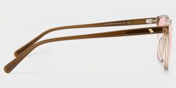 Allison Clear Brown Round Sunglasses3