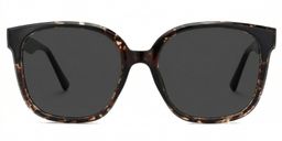 Siner Havana Square Sunglasses0