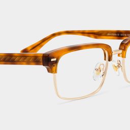 Eden Tortoise Browline Glasses4