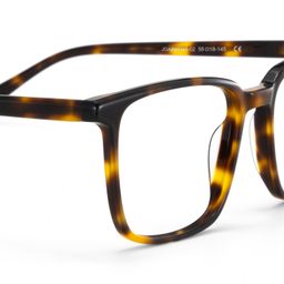 Aidan Tortoise Rectangle Glasses6