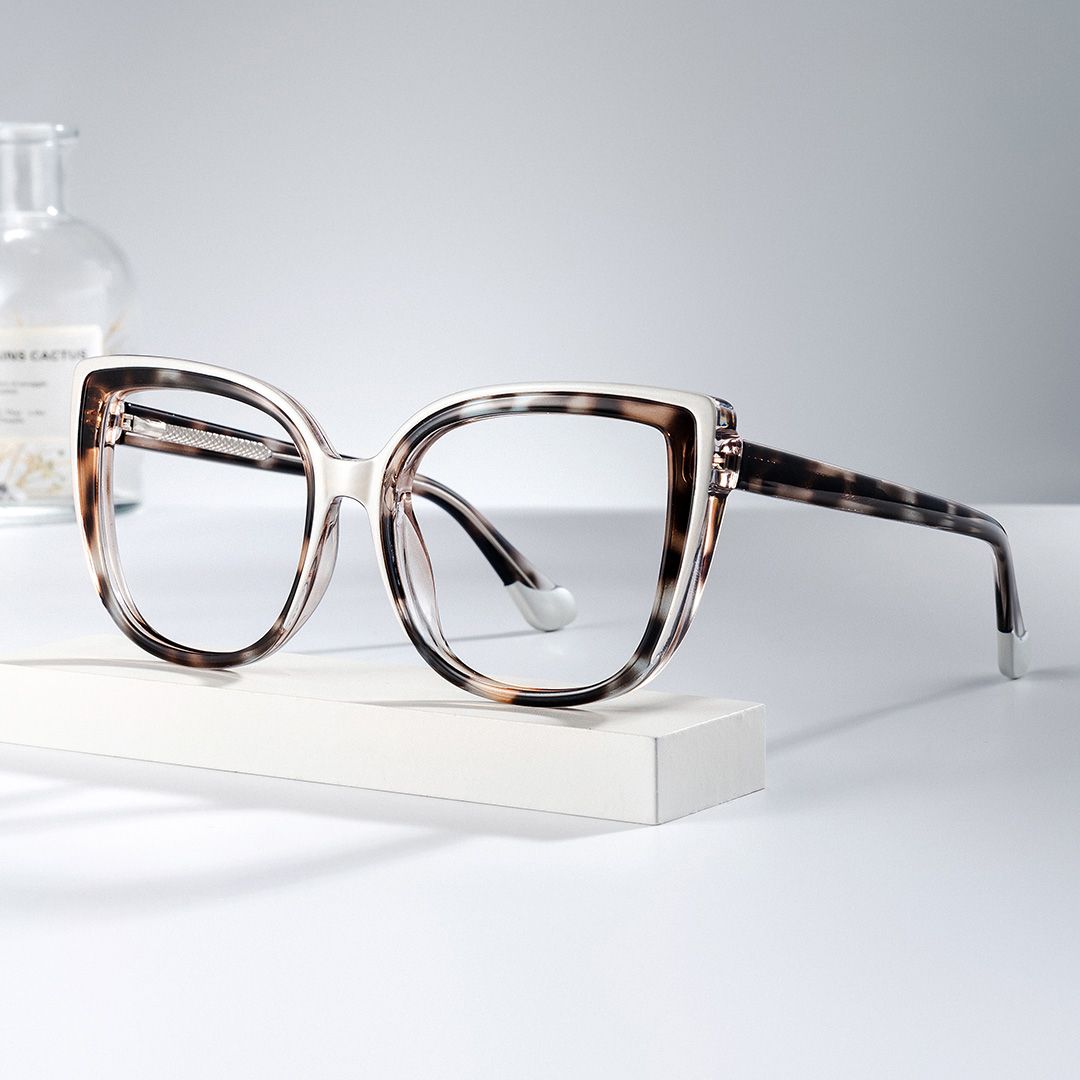 Large Frame Tortoise Shell Glasses For Women0