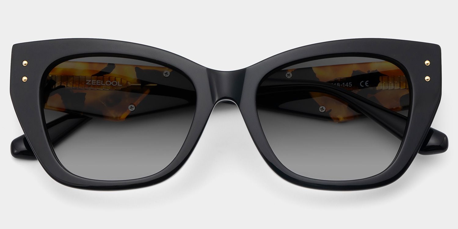 Skylar Acetate Black Frame Sunglasses | ZEELOOL2