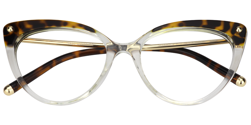 Cat Eye Tortoise&Clear Glasses2
