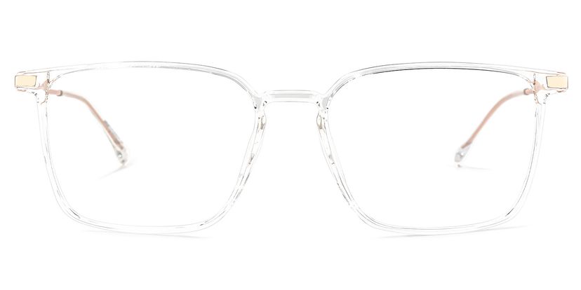 Litisha Square Clear Glasses