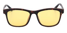 Quella Clip-on Glasss2