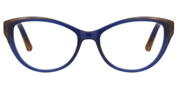 Irving Cateye Dark Blue Glasses0