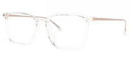 Litisha Square Clear Glasses1