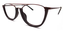 Alibi Aviator Eyeglasses13