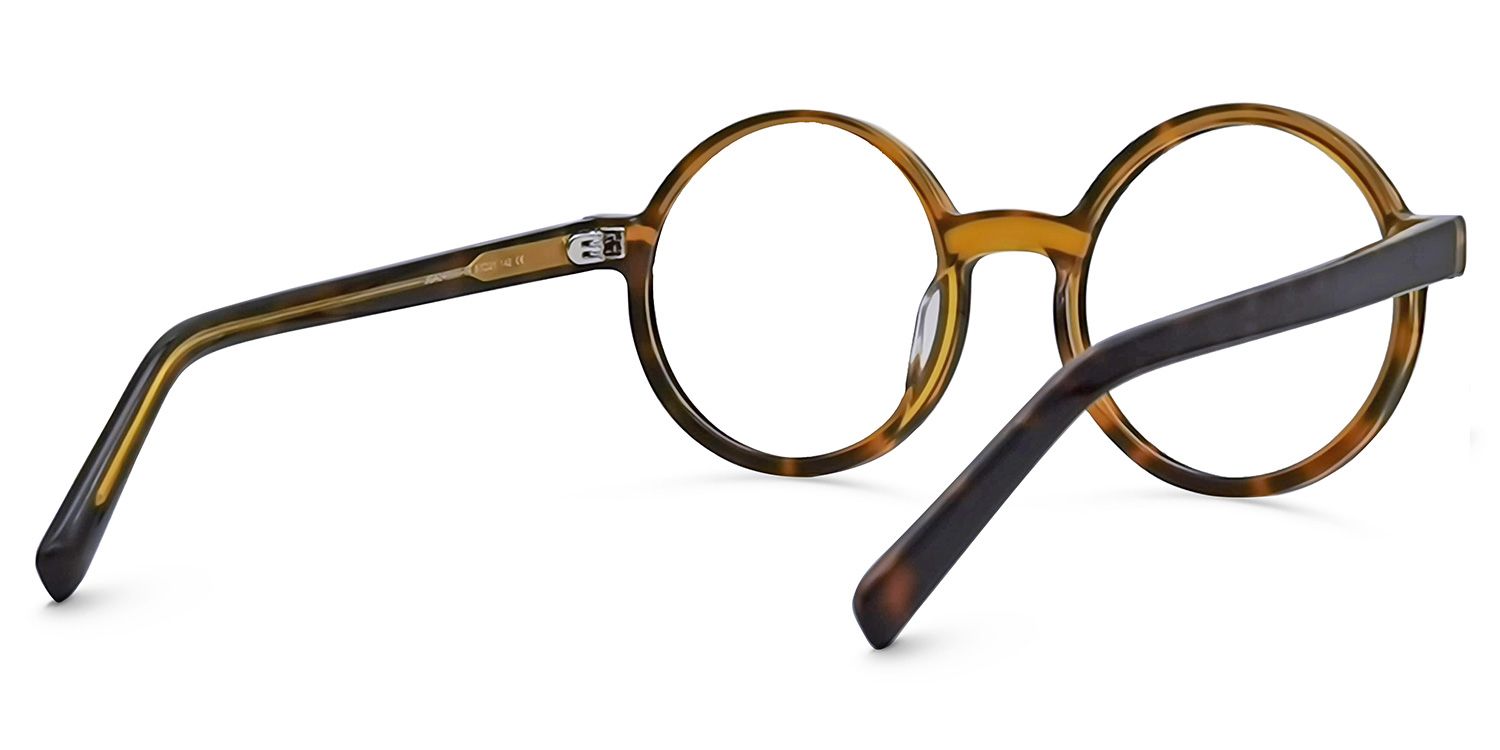 Chantel Round Tortoise Glasses | Zeelool Glasses3
