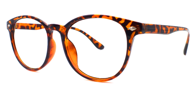 Round Tortoise Glasses | Zeelool Glasses5