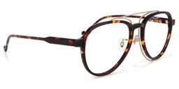 Ezra Geometric Tortoise Glasses2