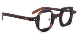 Quanah Asymmetry Tortoise Glasses2