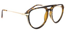 Ryder Aviator Tortoise Glasses2