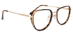 Hanson Geometric Tortoise Glasses2