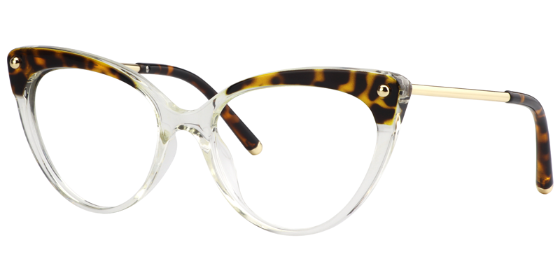 Cat Eye Tortoise&Clear Glasses3