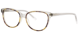 Nathan Oval Clear Glasses2