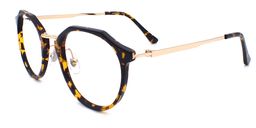 Jacqueline Geometric Tortoise Glasses3