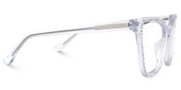 Goswami Clear Butterfly Glasses2