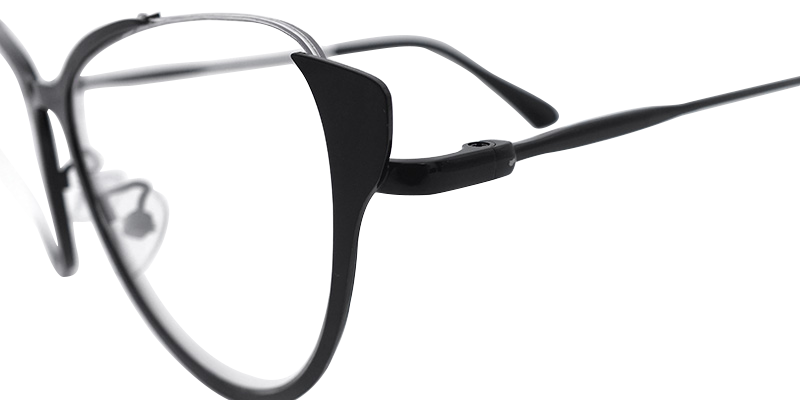 Buy Chamberlain Optical Glasses and EyeWear Frames on Zeelool4