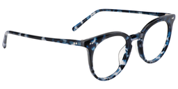 Kermit Round Blue-Black Glasses3