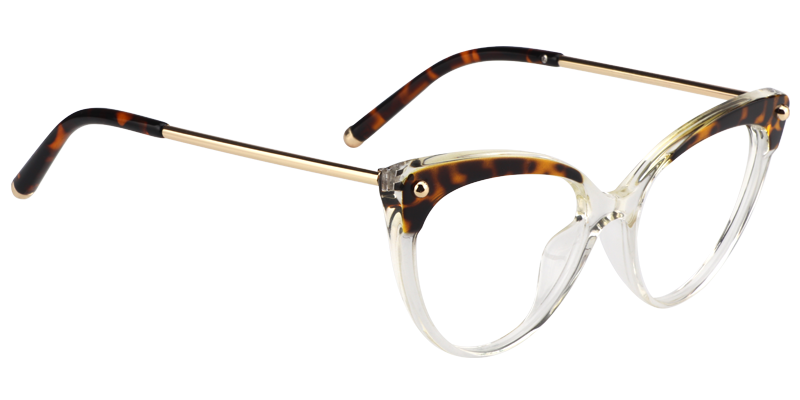 Cat Eye Tortoise&Clear Glasses4