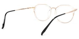 Gentry Geometric Clear Glasses4