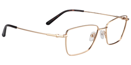 Osborn Rectangle Gold Glasses3