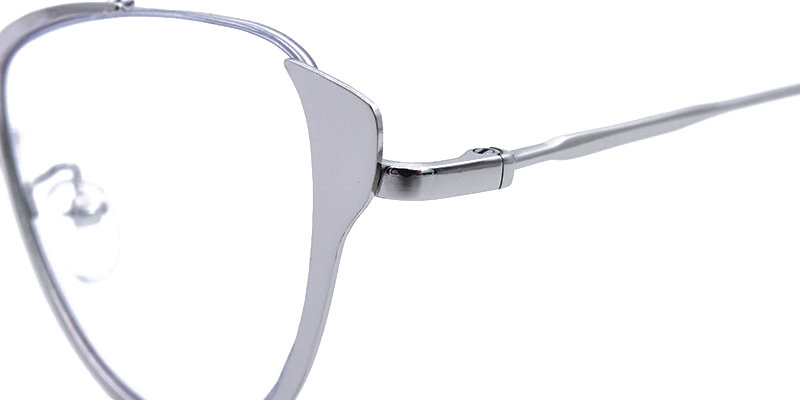 Buy  Optical Glasses and EyeWear Frames on Zeelool4